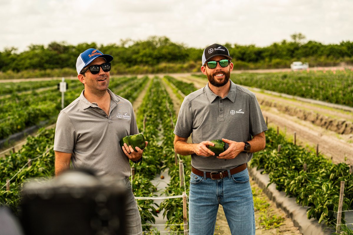 Excited to be hanging in Florida for the next couple days with our awesome farming partners! First stop of the week is with @SeminisSeeds in their testing fields learning about their new pepper strands.