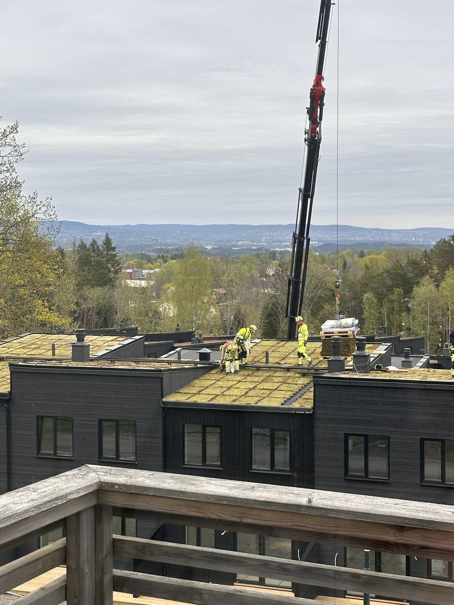 Bayılıyorum Norveç’in bu dertlerine😂 Bizim evin karşısında yeni evler yapıldı. Bu yaz bitecek. Komşularla belediyeye başvuru yaptık, bizim evlerin manzarası kapandı. Simsiyah çatılar içimizi karartıyor yazmış komşu 😂 Belediye inşaatı yapan şirkete şart koşmuş çatılara çim…