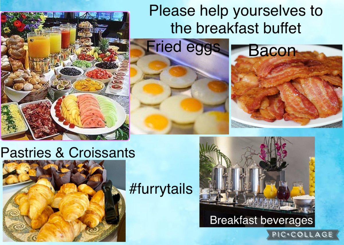 It’s a beautiful sunny morning & Edgar zooms into #furrytails He lights the fire for those who like a snug snug, & cooks & adds fried eggs & bacon to the buffet. “Wakey wakey, rise & shine everyone”