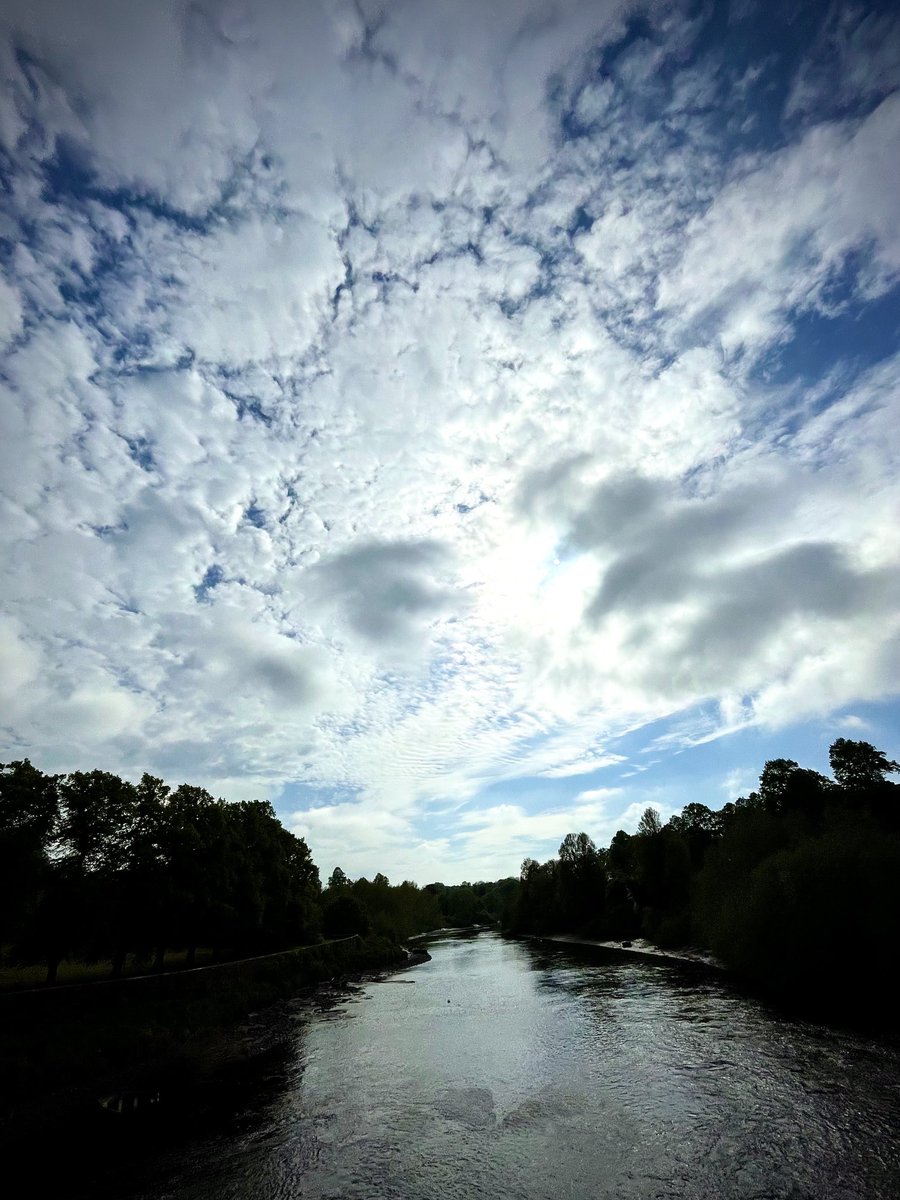 A view from my a bridge 
#handbridge