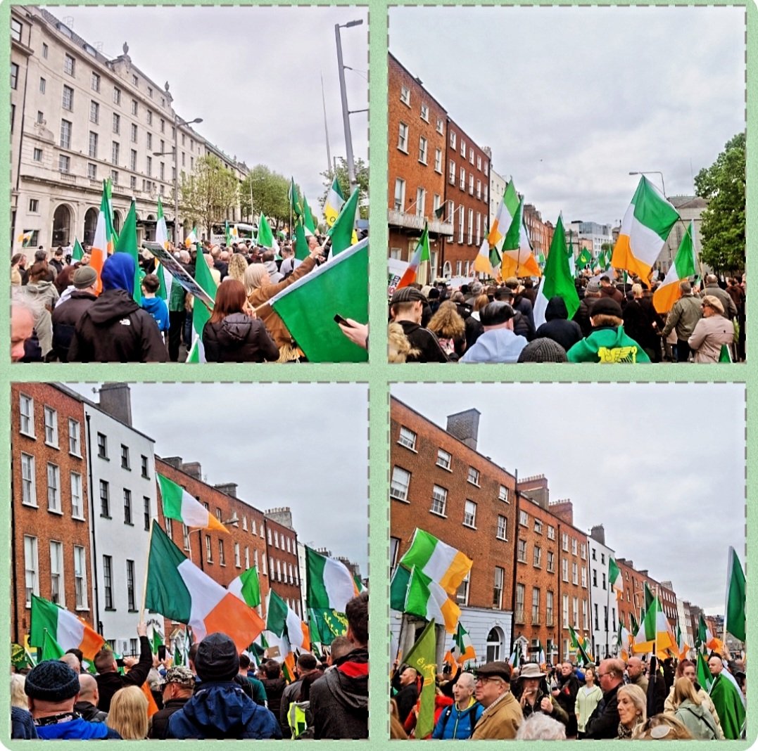 An absolute pleasure to walk with all these people today ☺️ great chats, a nice stroll, peaceful and beautiful to see so many Ireland flags 💚 #dublincity #dublin #Ireland