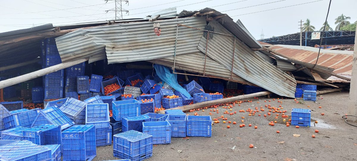 Thundershowers, gusty winds bring down a tomato mandi at APMC market of Kolar damaging tomatoes worth Rs 50 lakhs that were set for auction. Several goods vehicles were also damaged. @TOIBengaluru #Karnataka #BengaluruRains #thunderstorms #Weather
