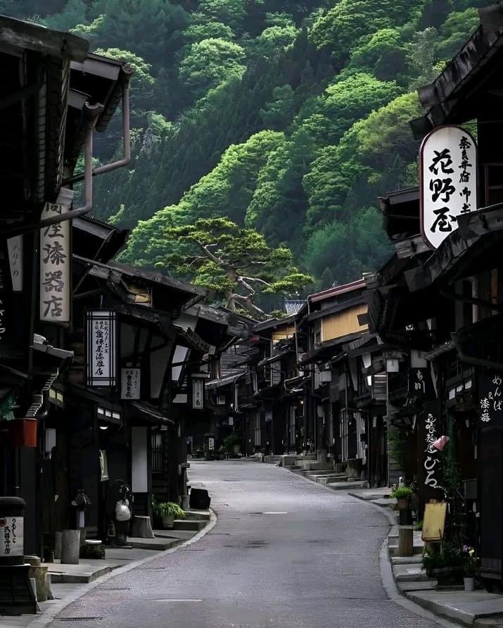 Kyoto 🇯🇵