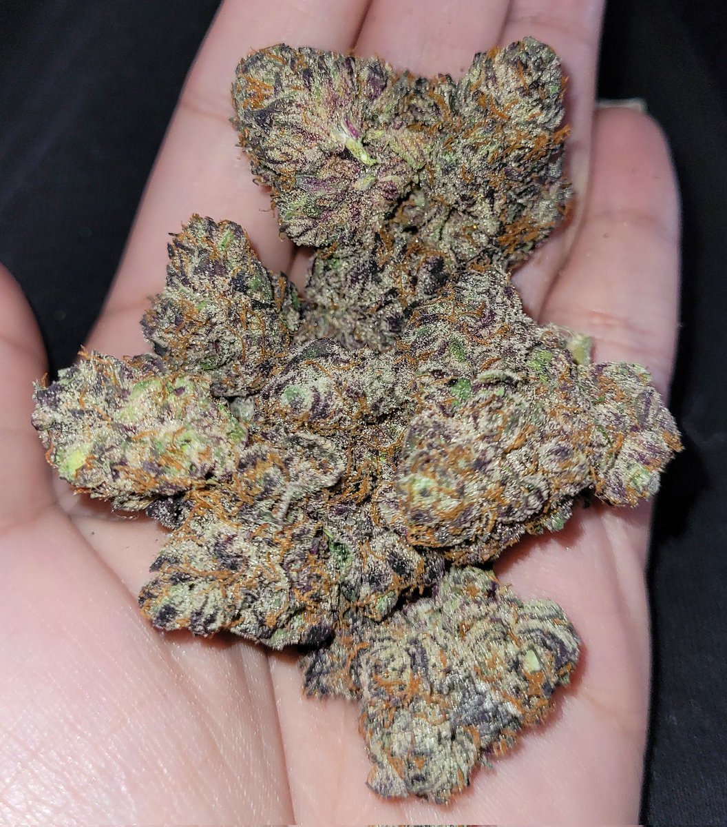Happy Marijuana Monday! 💨 💨 Nefarious 😍🤤 @GROWERCOALITION #weedporn