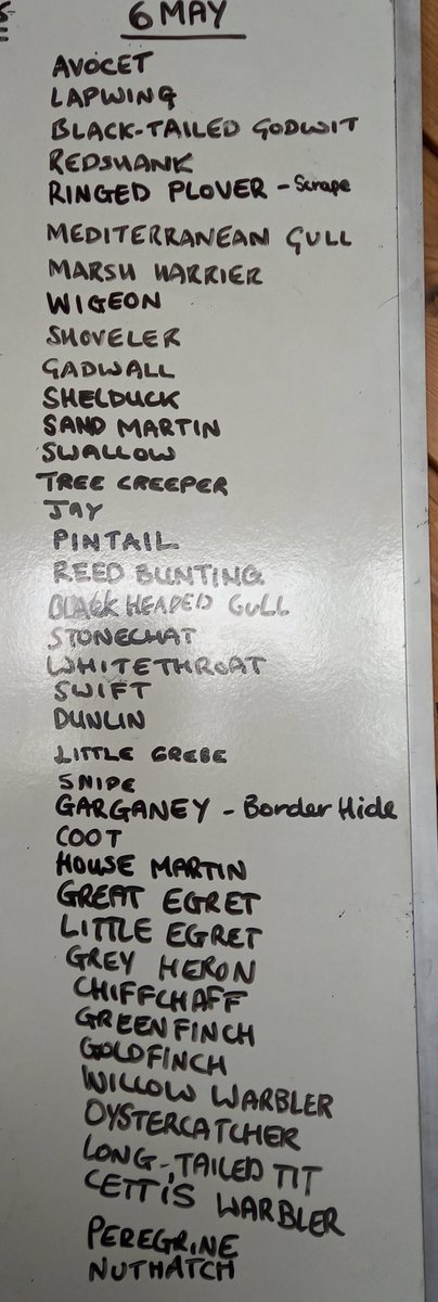 A wonderful #BankHolidayMonday with a plethora of #sightings including, Swift, House Martin, Sand Martin, Swallow, Stonechat, Ringed-Plover & a spectacular food pass by the Marsh Harriers. #MondayMotivation