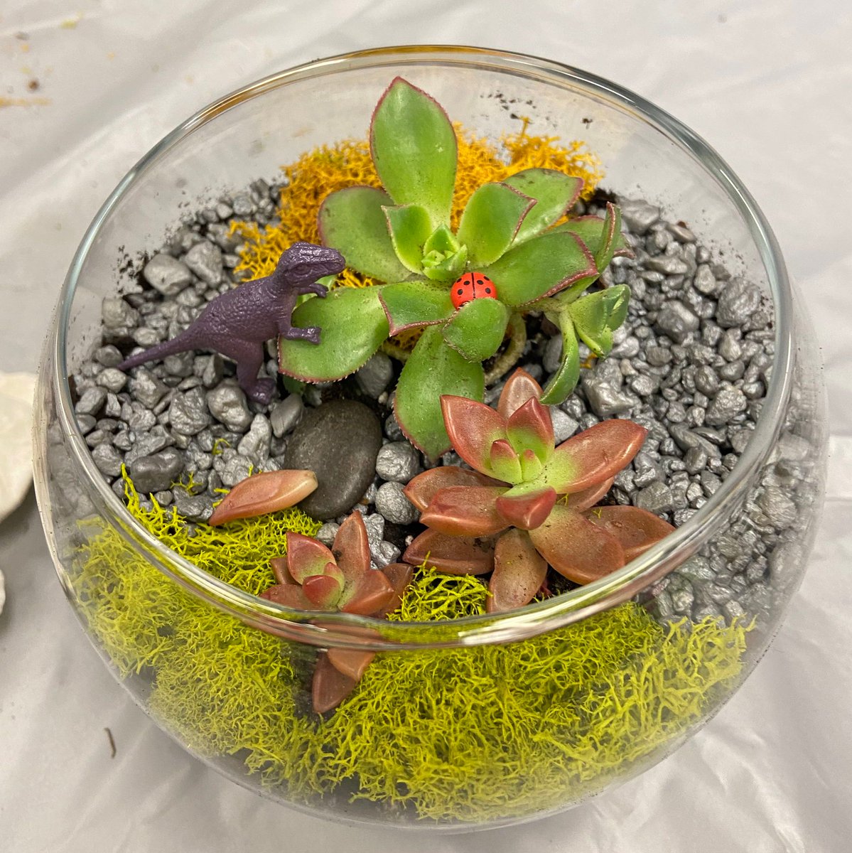 Some photos from recent adult programs at the library; flower arranging class and terrarium workshop. Visit palparklibrary.org for this month's events including crochet class, origami workshop and more! #bccls #palisadesparknj #palisadesparkpubliclibary #bcclslibraries