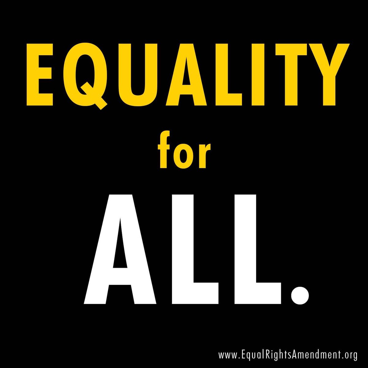 Support equality for all by supporting the ERA! #CNYNOW#ERA #ERANOW #EqualRightsAmendment #EqualRights #Equality #EqualAccess