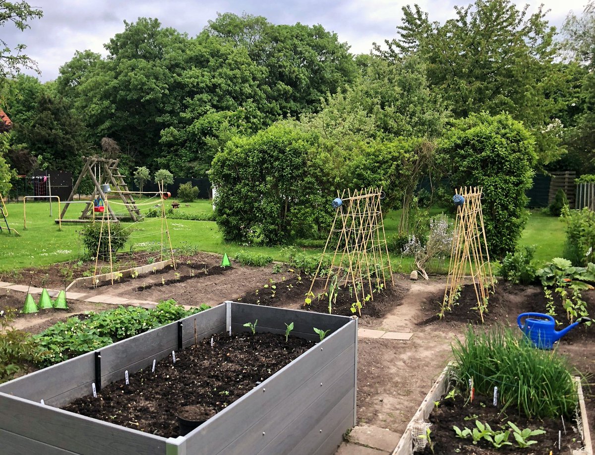 Went gardening for four days to disconnect and recharge. How was your weekend? Happy Monday everyone! #HappyMonday #digitaldetox #buildinpublic