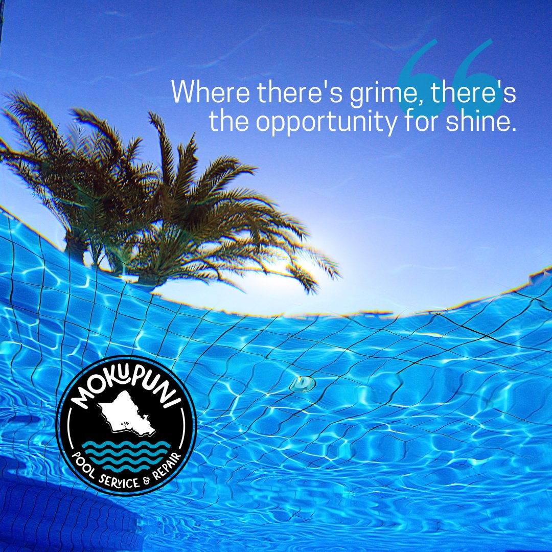 'Where there's grime, there's the opportunity for shine!'
.
.
#poolcleaners #poolcleaning #swimmingpool #poolrepair #poolpros #poolmaintenance #poolservice #Honolulu #Oahu #MokupuniPools