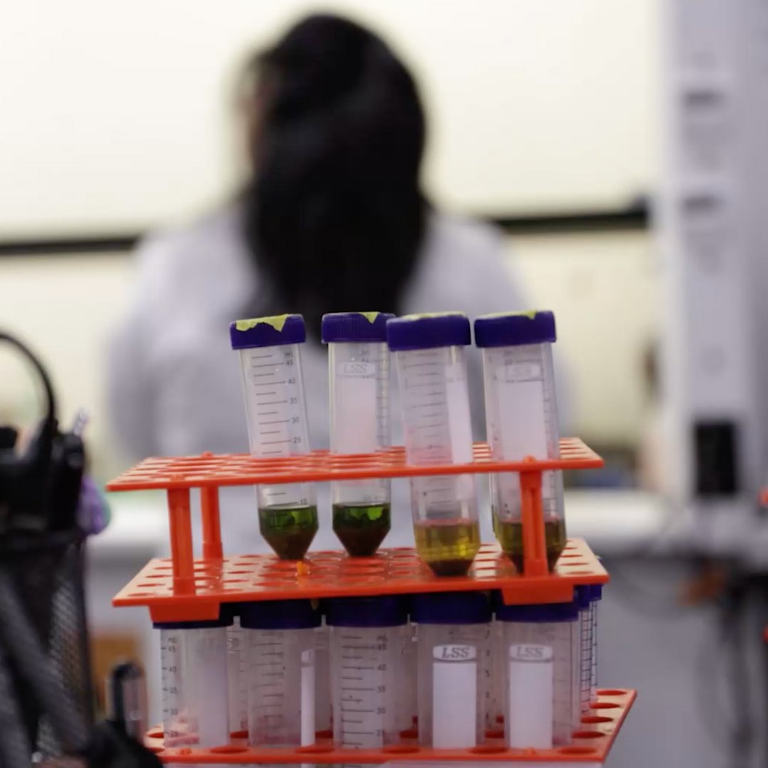 myAnalyticsLabs's tweet image. Ready to take the next step in your testing journey? 🧪 y

🥼 Schedule a consultation with Analytics Labs today and discover how we can meet your testing needs. Our expert team is here to guide you every step of the way.