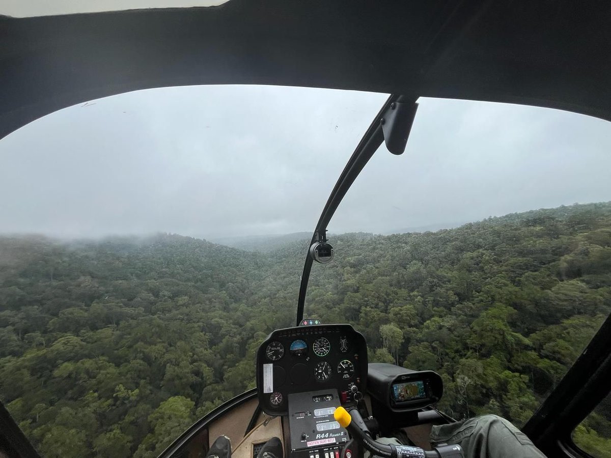 MEP deploys 3 ranger teams to work with the community to protect the Loita Forest. Recently, MEP CEO Marc Goss conducted an aerial monitoring flight to detect habitat destruction inside the forest. Luckily, during this reconnaissance flight, the area patrolled was clear.