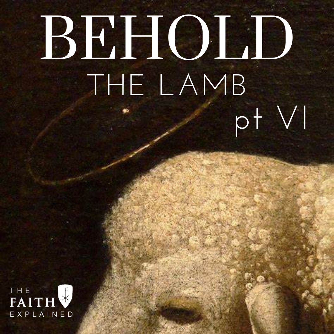 Today on the @FaithExplained Show (live at 12:30 CT with @CaleClarke on @relevantradio and on the app): Behold the Lamb: Part VI Discover the secret of the blood and water flowing from Jesus’ side, and why his bones were never broken.