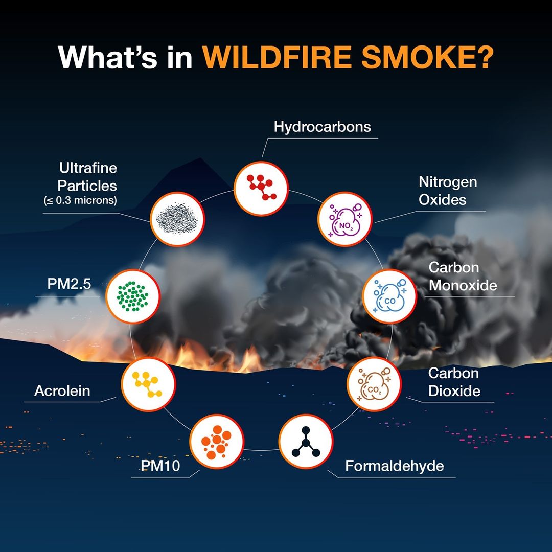 Fire season is around the corner. Here are ways to protect your air from wildfire smoke. iqair.com/us/newsroom/cr… #AQAW2024 #wildfires #airquality #smoke
