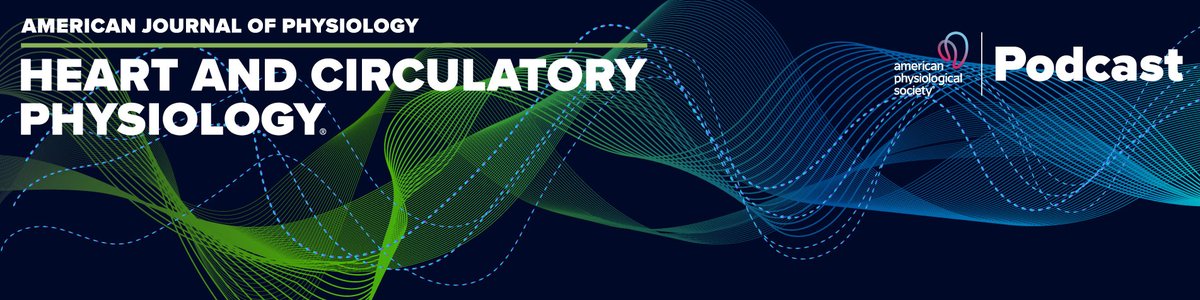 The @ajpheartcirc Podcast🎙️ Listen as we discuss studying #mitochondria in an #aging model, and the protocol Chen et al. developed for isolating a mixed mitochondria population. Don’t miss the last few minutes for pro tips about networking & mentors 🎧 ow.ly/8mzv50Rxo4Z