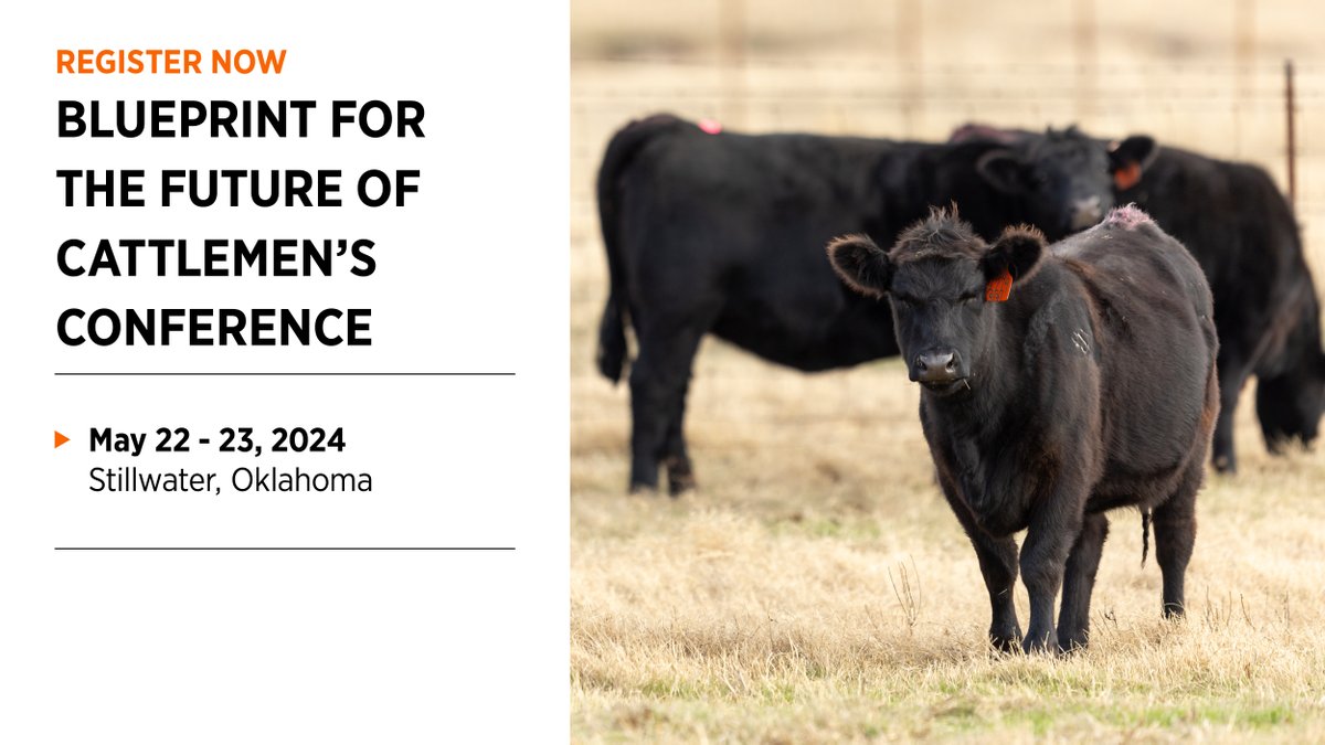 Blueprint for the Future Cattlemen's Conference will return May 22 and 23. OSU Agriculture is partnering with Cattlemen's Congress and @nobleresinst to host a summit for cattle industry leaders on OSU's campus. Register today ➡️ okla.st/4bpIHkb