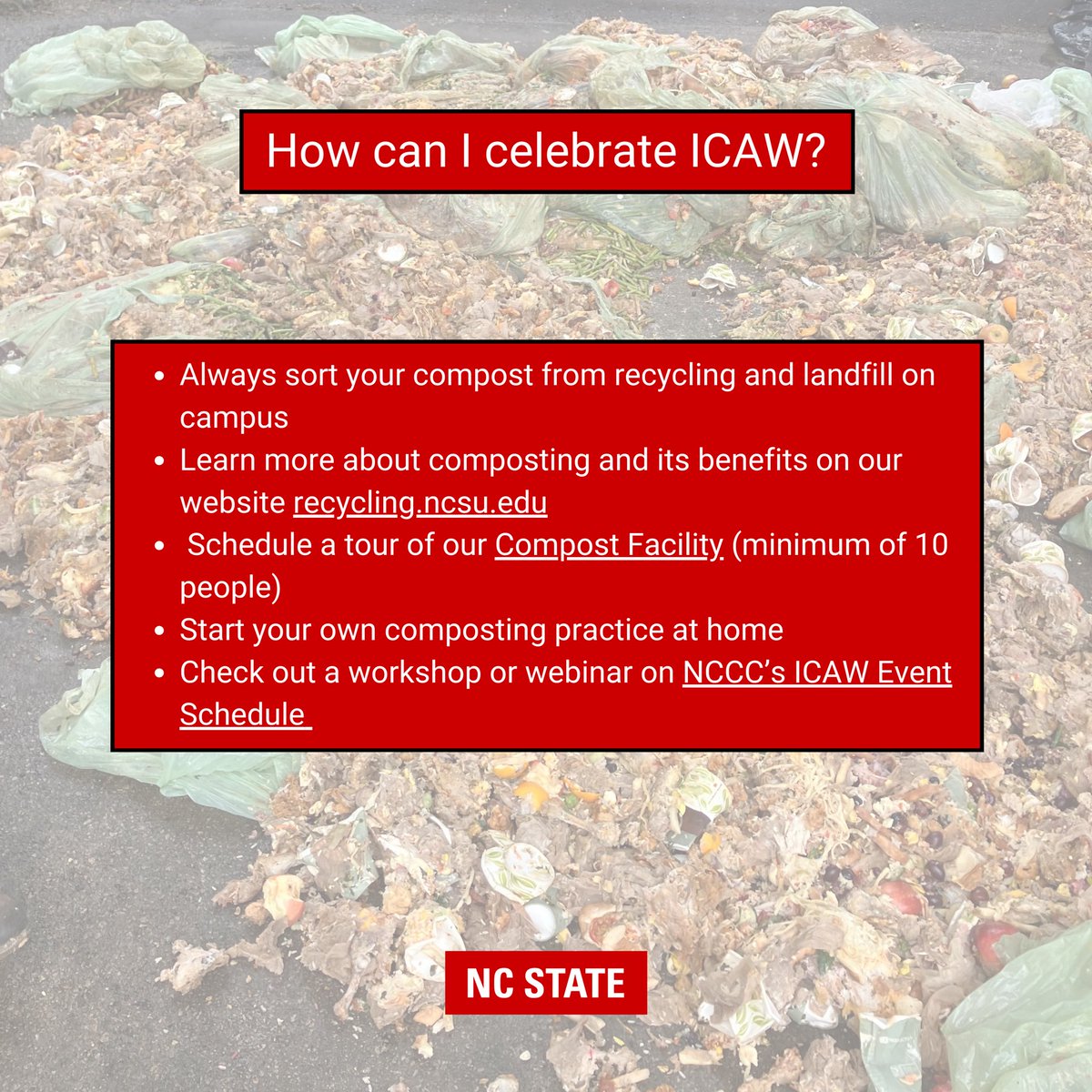 Happy International Compost Awareness Week from NC State Recycles!🌱🪱💚

♻️At NC State, we’re committed to reducing waste, promoting sustainability, and closing the loop on campus.🐺

🍎Swipe to learn more about how to celebrate ICAW with us!! #ICAW