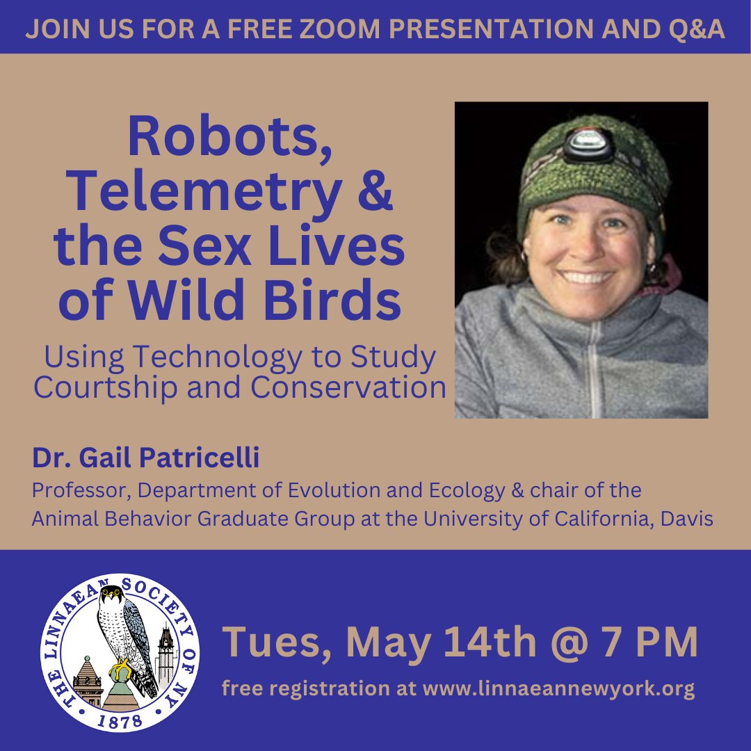 Join us for a free lecture and Q&A session: Robots, Telemetry, and the Sex Lives of Wild Birds: Using Technology to Study Courtship and Conservation. ⁠ ⁠ #LSNY #LSNYbirds #LinnaeanNY #LinnaeanSocietyofNewYork #StayCurious #AMNH #Birds #Ornithology #Telemetry #Conservation