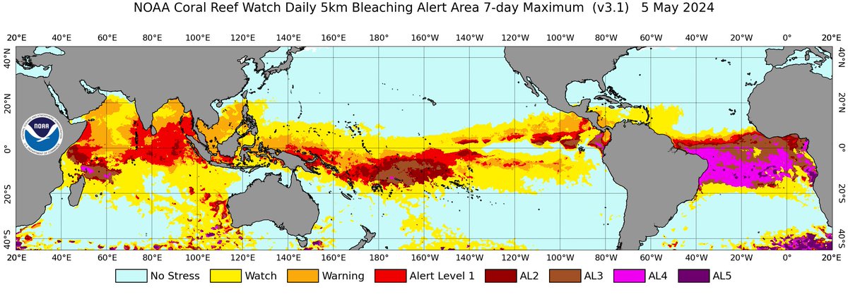 #ShoutOut to our colleagues @CoralReefWatch for the heat stress updates they provide! These data are critical to understanding thermal stress on a global scale. coralreefwatch.noaa.gov/main/