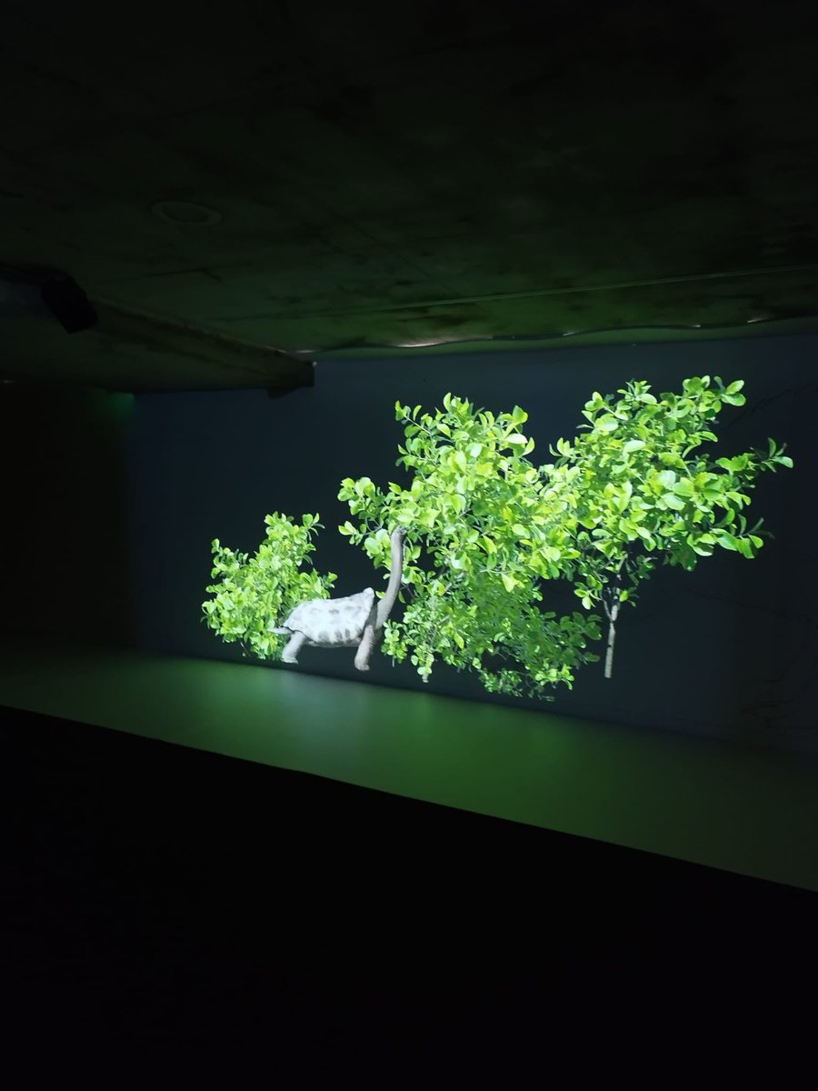 EN DIRECT 🔴Vernissage de l'exposition '𝐑𝐞𝐯𝐢𝐯𝐫𝐞, 𝐥𝐞𝐬 𝐞𝐬𝐩è𝐜𝐞𝐬 𝐝𝐢𝐬𝐩𝐚𝐫𝐮𝐞𝐬🐋🦖'  Une expérience de mapping vidéo inédite au Parc de l’Estuaire, un site des échappées Nature  📍à St-Georges-de-Didonne En partenariat av @Le_Museum & Saola Studio…