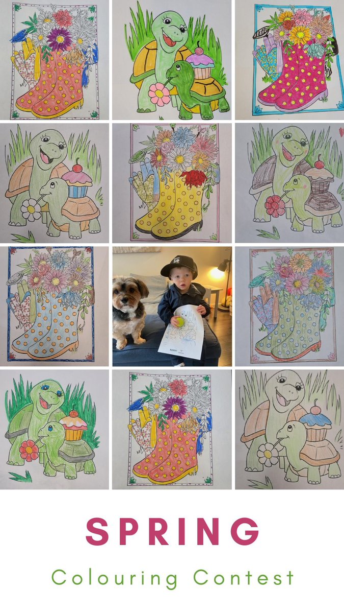 Spring has spun and we love to see all the submissions come in from our Spring coloring contest! 🌸🌱🐢 #spring #coloringcontest #autobody #autobodyrepair #autobodyshop