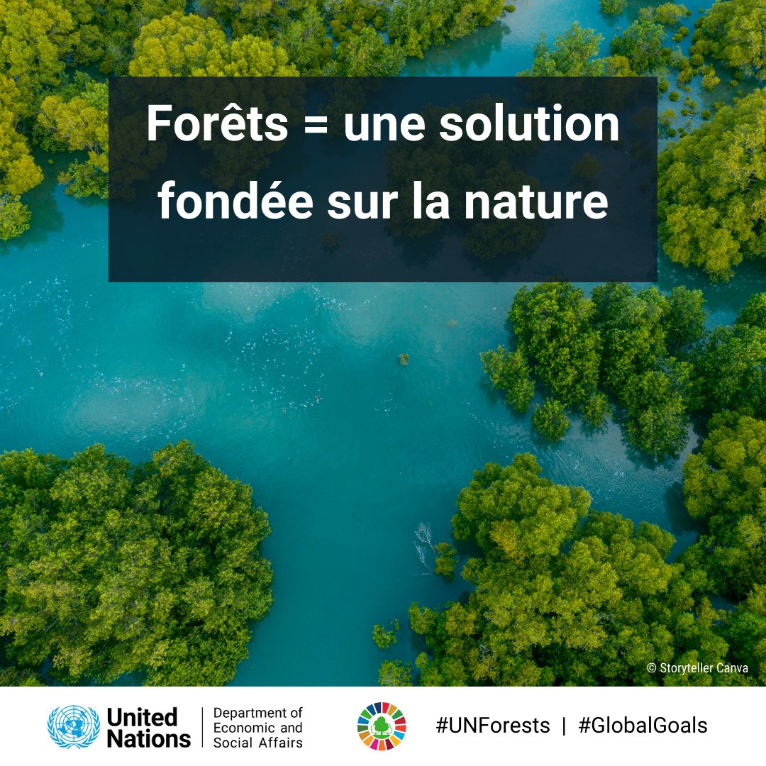 Nous avons besoin de plus de forêts 🌲🌳🌴 pour combattre 🔥 le changement climatique 🦋 la perte de biodiversité 🕱 la pollution 🍎 la faim Coup d’envoi ce lundi de la 19e session du Forum de l'ONU sur les forêts. bit.ly/UNForest