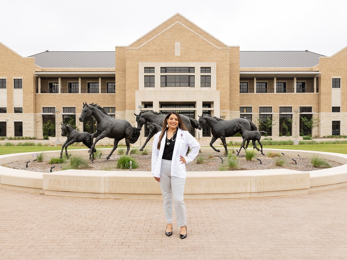 When Aileen Solis began her journey from Amarillo, Texas, to pursue her dream of becoming a veterinarian at Texas A&M University, she encountered both expected and unexpected hurdles.
#TAMUVetMed
Read Aileen's story: vetmed.tamu.edu/news/press-rel…