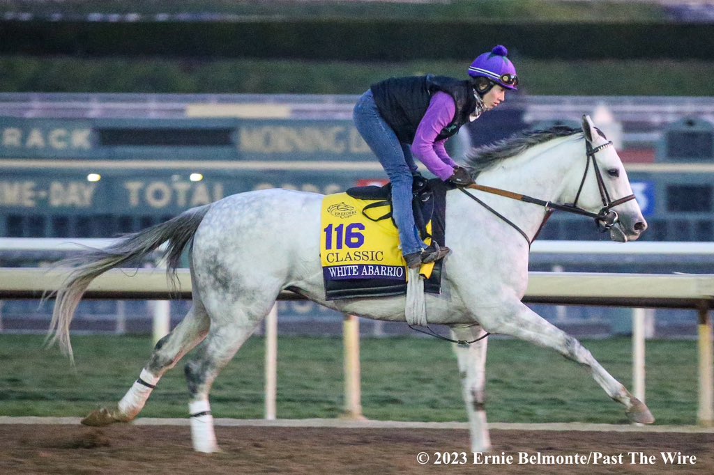 White Abarrio worked 4-furlongs in 49.2 at Belmont Park Friday for trainer @RickDutrow59. 34/105. The @BreedersCup Classic winner is being pointed to the G1 Met Mile at Saratoga June 8th

📸 @ErnieBPhoto93