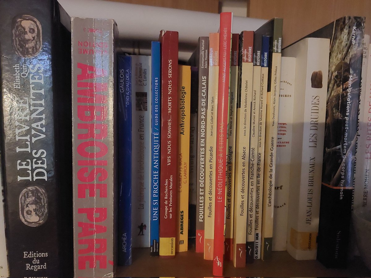 “Groupés, serrés les uns contre les autres, les livres ont la stabilité et la persévérance des menhirs.”

Bernard PIVOT