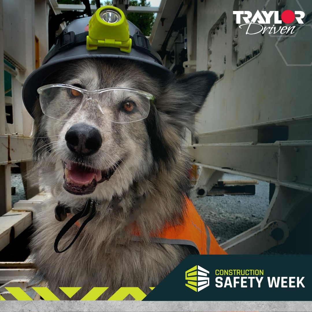 TraylorBros's tweet photo. It’s #ConstructionSafetyWeek! Makeda here, your #TraylorDriven Mascot (and vigilant safety pup), reminding everyone to "paws" and gear up before performing work!

Take personal ownership of your safety and that of your team. Stay protected, stay safe, and keep each other safe. https://t.co/lgoMoM9iM1