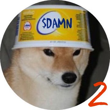 shibainu tweet media
