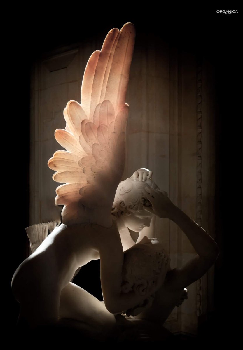 6. In Canova's timeless masterpiece, the wings of Cupid are so delicately thin that when sunlight touches them they shimmer with a gentle peach glow.