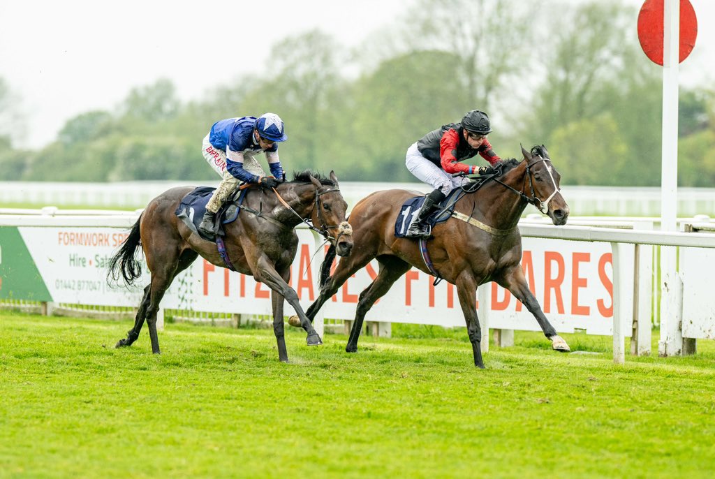 Race 6 Result: The Get Raceday Ready Handicap Stakes 🥇Calm Waters Jockey: @JackGilligan14 Trainer: Rod Millman Owner: Sharon Kinsella & Partners