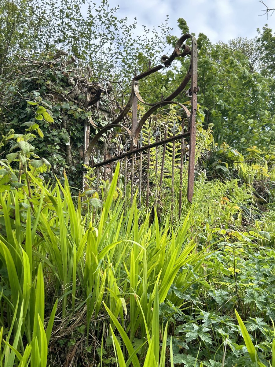 Home. Image: rusted gate in the garden surrounded by incredibly green foliage