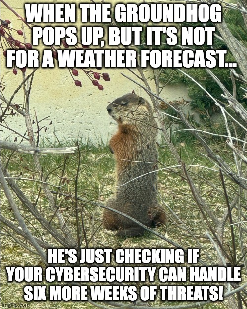 #mememonday