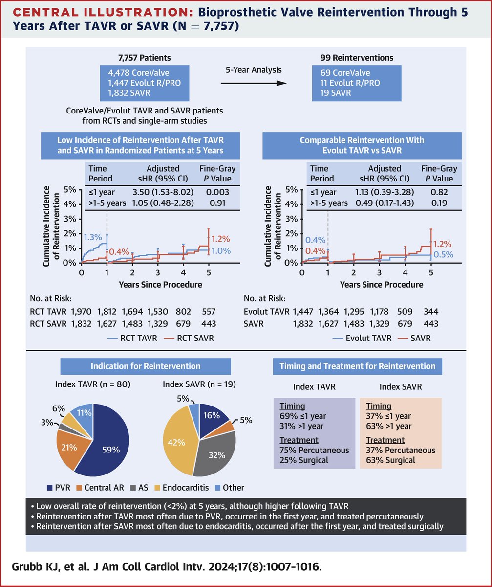 An overall low incidence of reintervention after #TAVR and #SAVR was observed across studies, but reinterventions were more common after #CoreValve TAVR compared with #Evolut TAVR or SAVR. bit.ly/4a7XO0o #JACCINT @KendraGrubb