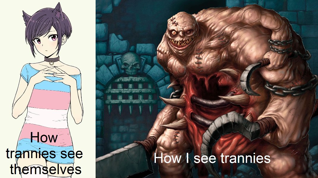 Who else doesn't like trannies?