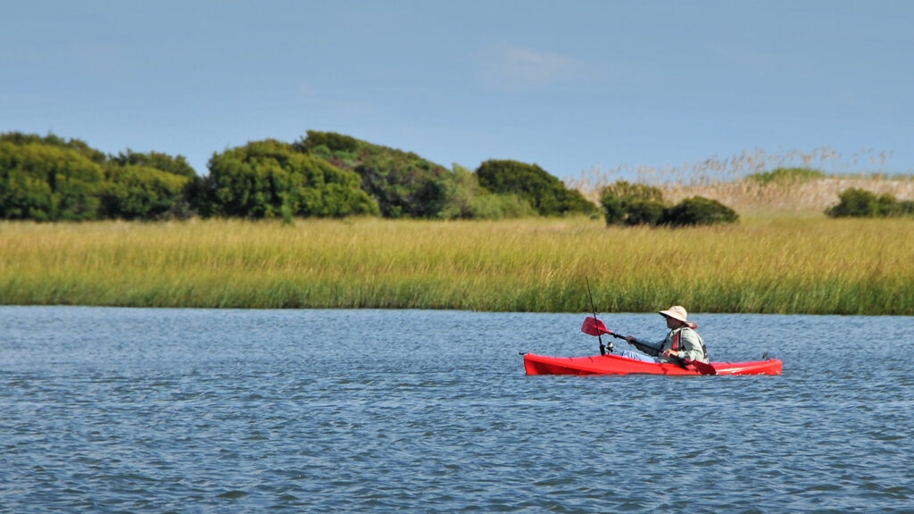 NC State Parks, Recreation and Tourism Management tweet media