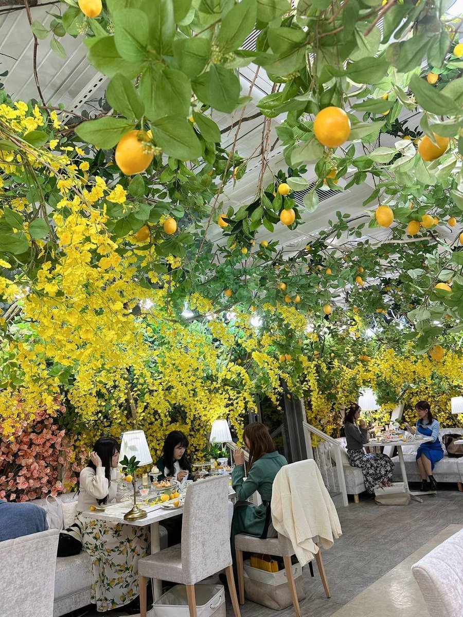 SakuraFall658's tweet image. A super beautiful tea restaurant with a great environment. It is opened by a Japanese, the service attitude is also very good, and the food is delicious. Order a drink, bring a favorite book and sit quietly all afternoon