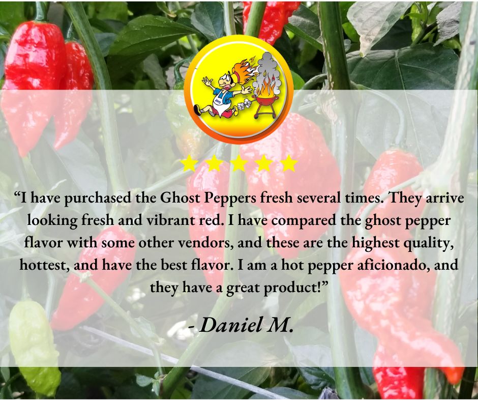 “I have purchased the Ghost Peppers fresh several times. They arrive looking fresh and vibrant red. I am a hot pepper aficionado, and they have a great product!”  - Daniel M.

ghostlyhots.com

#GhostlyHots #ghostpeppers #hotpeppers #spicyfood #spicy #heat #peppers