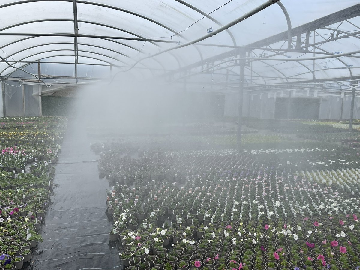 TerryJermyMP's tweet photo. Back to the SW #Norfolk campaign this afternoon! Visited the lovely village of Great Cressingham &amp; lunch at @oldewindmillinn - thoroughly recommend! Trip to Didlington on way home for more plants! If you can support our campaign to #ToppleTruss donate via https://t.co/eriyLa70bF https://t.co/Mg6RTayvte