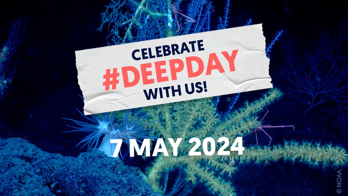 #DeepDay is coming up! 🎉 🪼Join us in celebrating the largest habitat on Earth, home to as many as 10 million species! The #DeepSea mitigates #ClimateChange, supports fisheries and provides us with medicines. deep-sea-conservation.org/explore/deep-d… @DeepSeaConserve