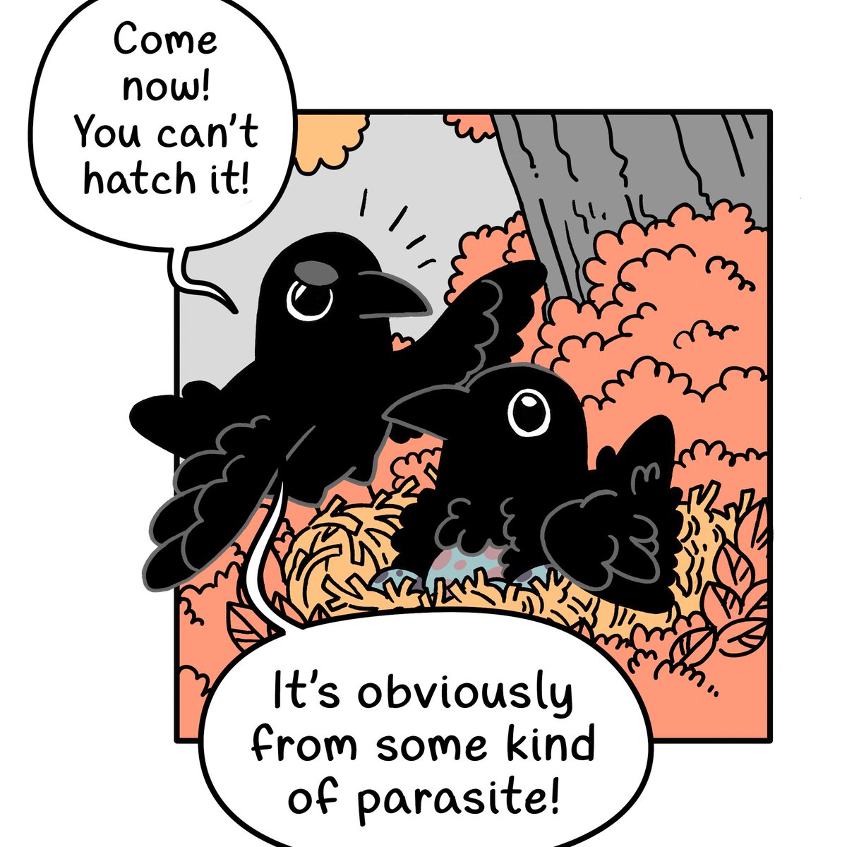 New Crow Time - Eggies 🥚 🪺 🥓 
[2/5] 