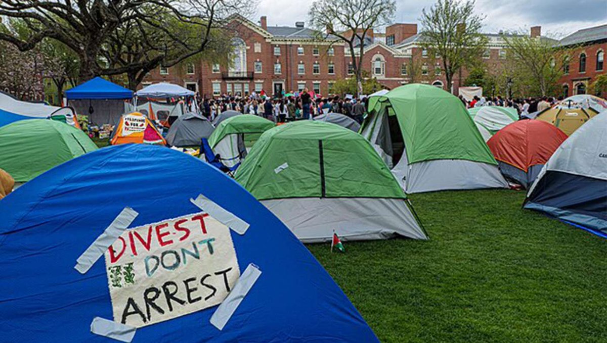 Nation Cheers As Protesters Announce Plan To Stay Inside Tents Indefinitely buff.ly/4ae9jn4