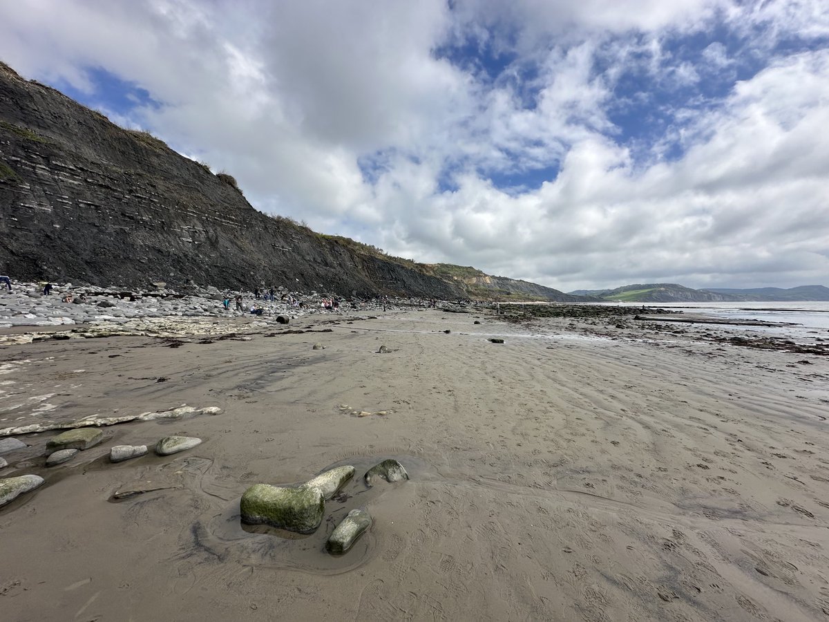 Fossil hunting on Dorset’s Jurassic Coast, which is a World Heritage Site and the place where the palaeontologist Mary Anning worked in the 19thC. The beach at Lyme Regis still attracts many fossil hunters today #maryanning #lymeregis #fossil #fossils