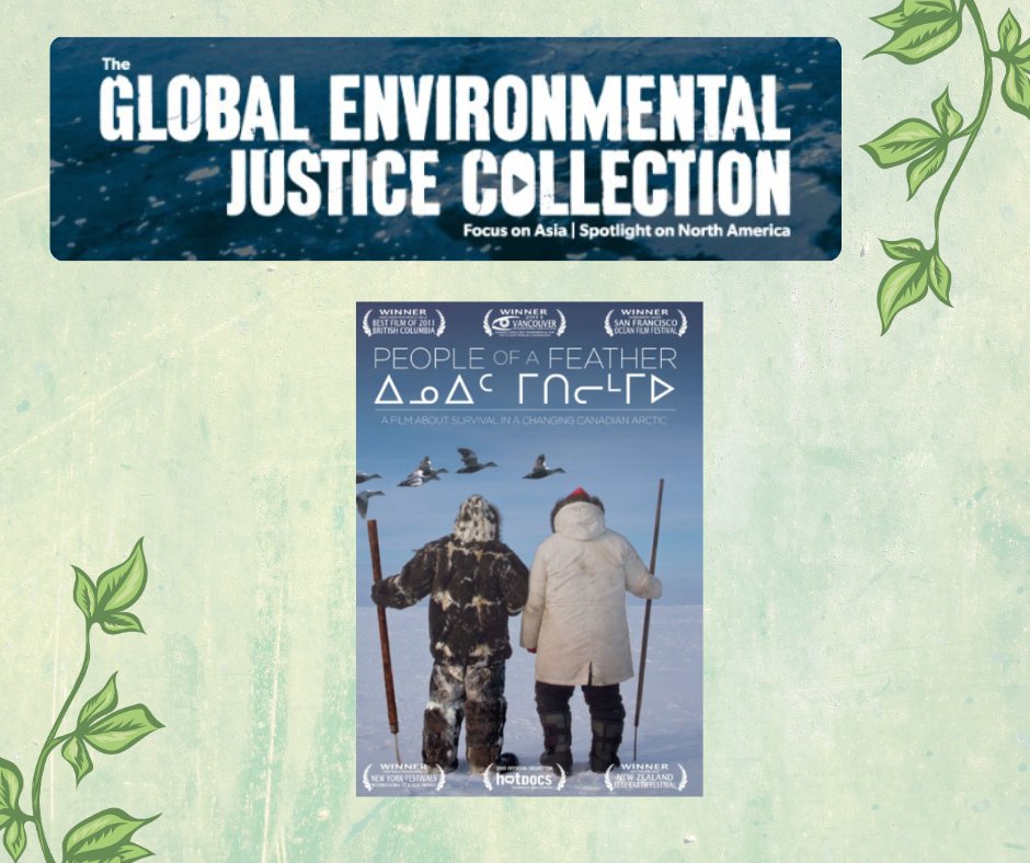 Within the Global Environmental Justice Collection is PEOPLE OF A FEATHER. This educational documentary focuses on Sanikiluaq, a community in the Canadian Arctic. Click here to learn more: videolibrarian.com/reviews/docume…