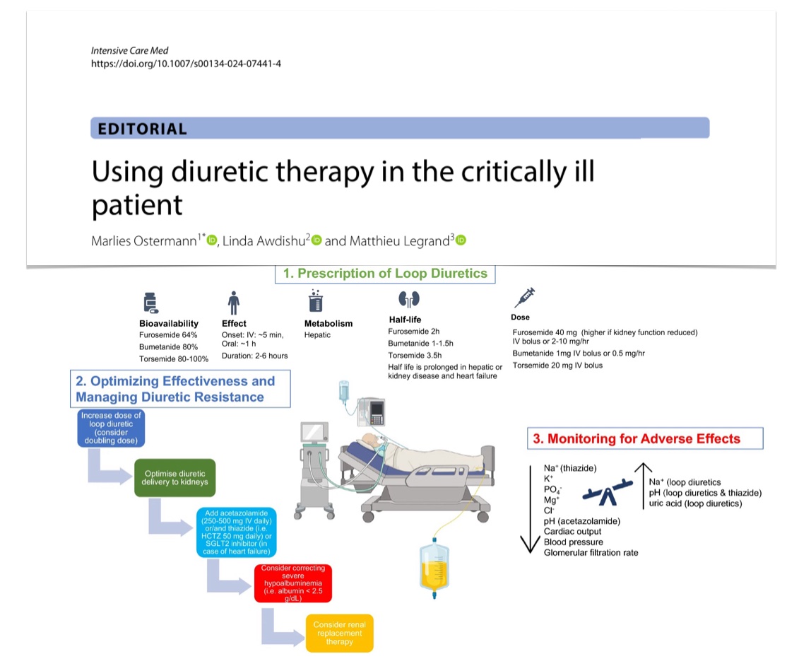 Diuretics in #ICU 🫘 what the indications? 🫘 how to monitor? 🫘 continuous infusion more effective vs intermittent dosing? 🫘 combining w albumin to improve effectiveness? 🫘 furosemide stress test 🫘 how to manage diuretic resistance #FOAMcc @yourICM 🔓 rdcu.be/dG6xx