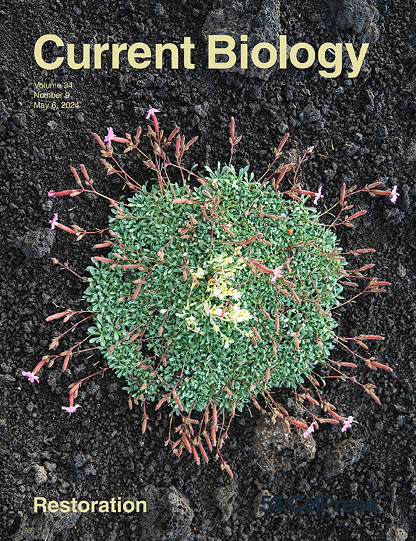 Current Biology tweet media