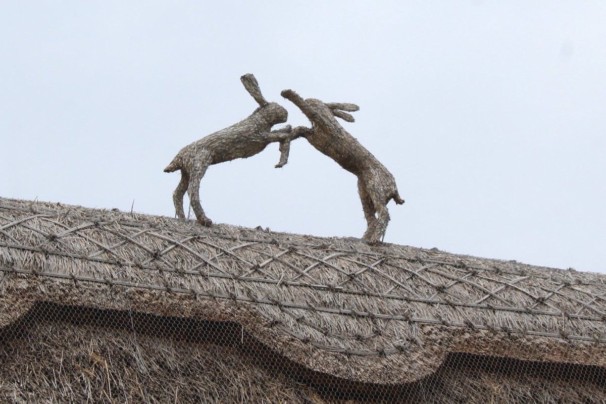 Working on a report about a thatched cottage, dating to c 1600, in Cambridgeshire. The modern animal finial features a pair of boxing hares.