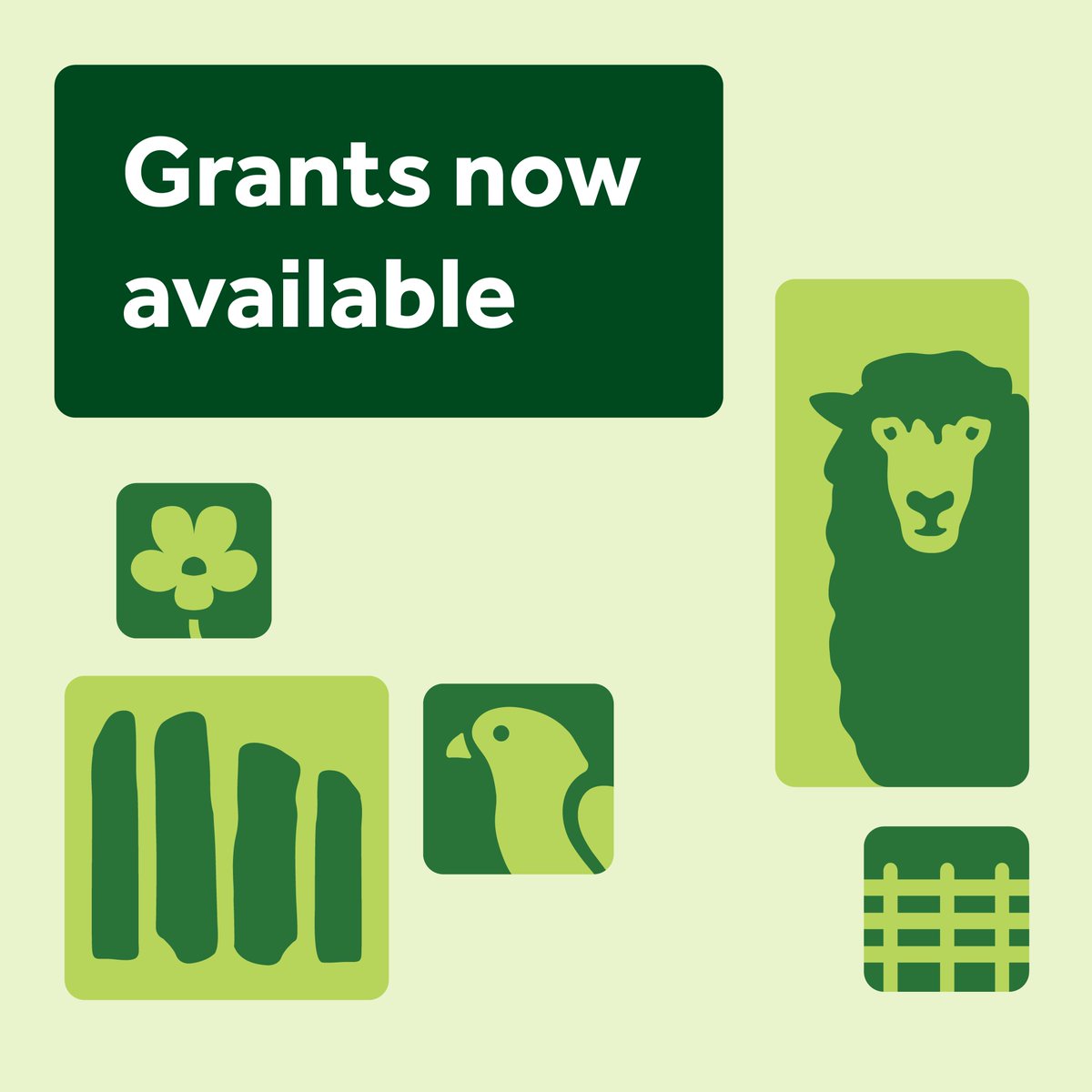 Farmers, landowners, environmental organisations and Parish Councils are invited to apply for grants to support a wide range of countryside projects within the Isle of Wight National Landscape. 

Full details here - wightaonb.org.uk/farming-in-pro… 

#isleofwightnl #fipl #funding #grants