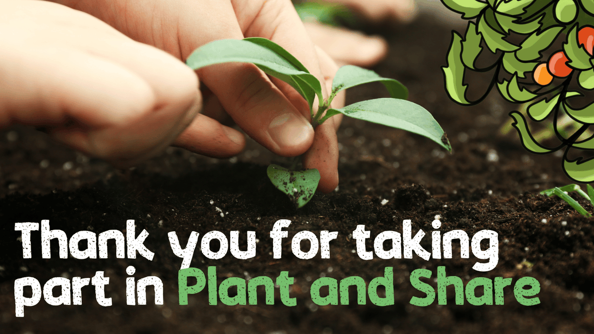 A huge thank you to everyone who has taken part in #PlantAndShare, whether by planting your first seed or running a community event. It's been great to see so much joy in growing. ☀️ To keep up to date with future campaigns, sign up to our newsletter 📝 fflgettogethers.org/get-involved/n…